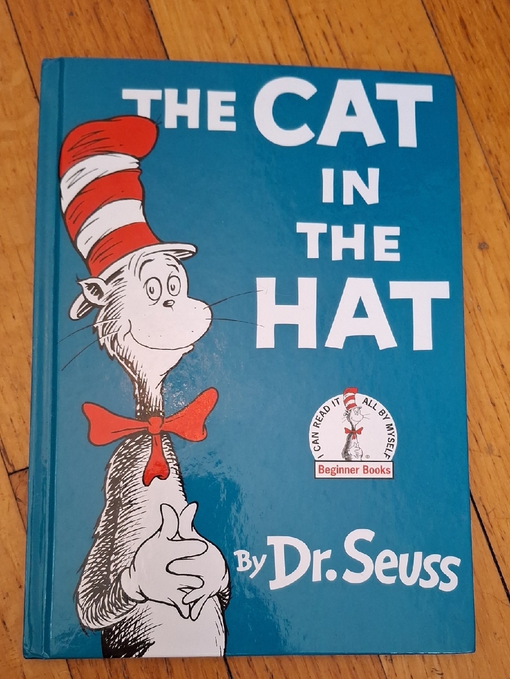 Dr. Seuss Cat in the Hat — Teal Cover with Red and White Accents